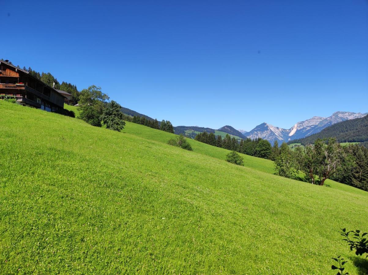 Ferienwohnungen Schneiderhaeusl Alpbach Eksteriør bilde