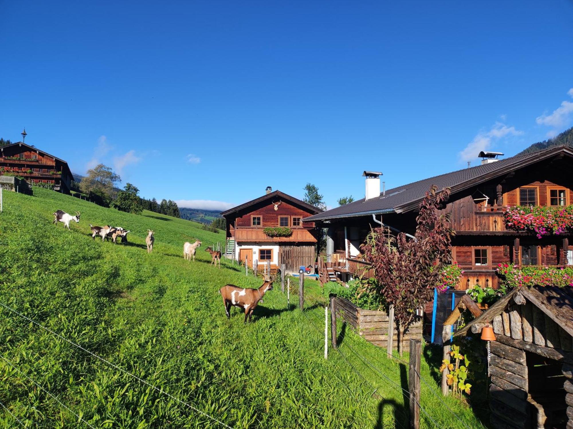 Ferienwohnungen Schneiderhaeusl Alpbach Eksteriør bilde
