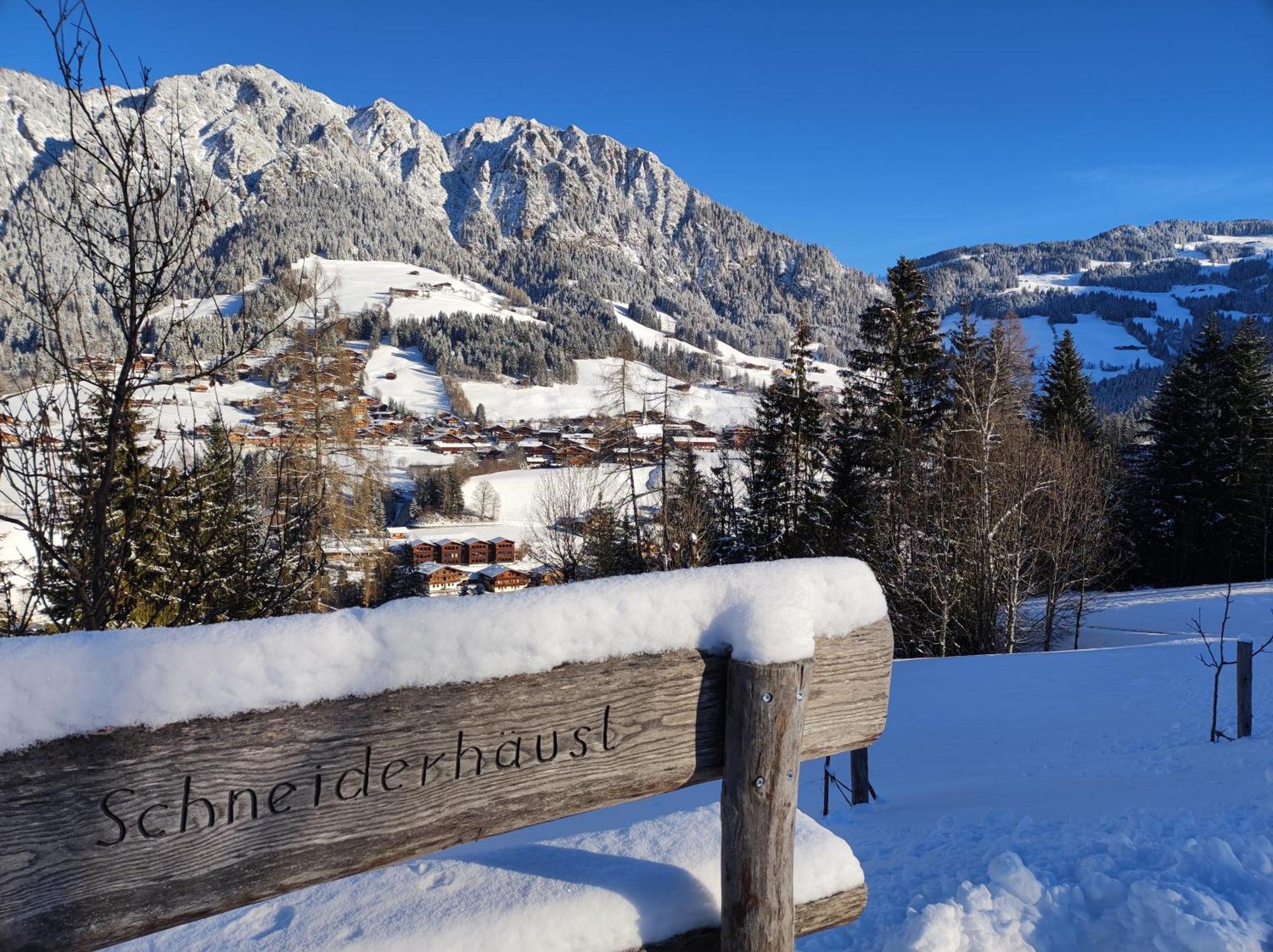 Ferienwohnungen Schneiderhaeusl Alpbach Eksteriør bilde